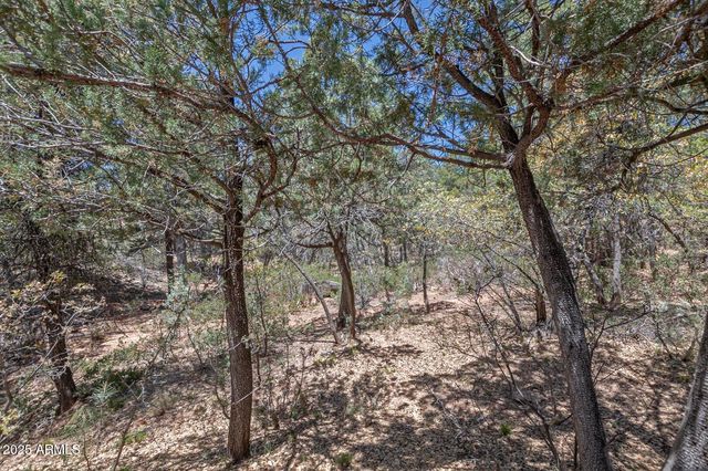 4440 N PINE CREEK CANYON Road N, Pine, AZ 85544