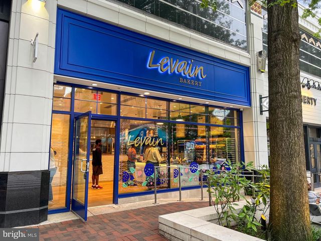 4817 CHEVY CHASE BLVD, Chevy Chase, MD 20815