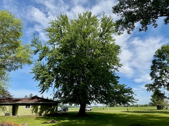 6232 Baker Road, Bridgeport Twp, MI 48722