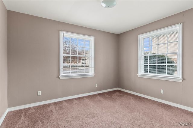 2237 Lavera, Tuscaloosa, AL 35404