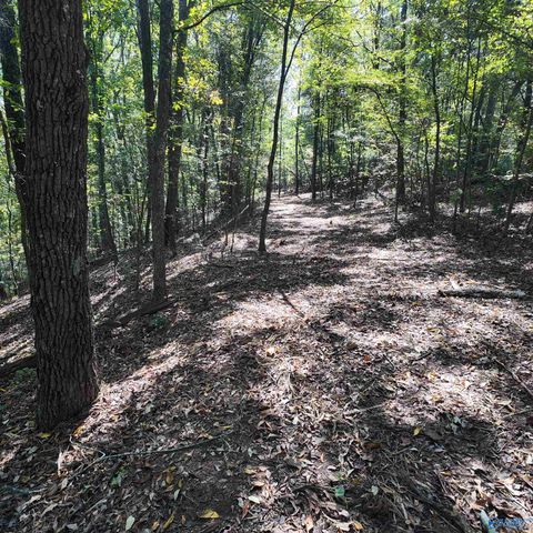 4316 Danville Road SW, Decatur, AL 35603