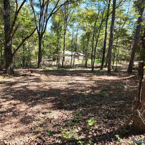 4316 Danville Road SW, Decatur, AL 35603