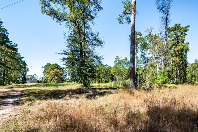 9537 State Highway 146 S, Livingston, TX 77351