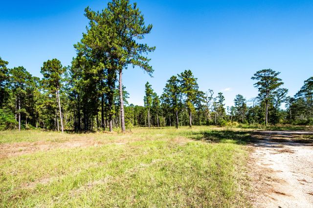 9537 State Highway 146 S, Livingston, TX 77351