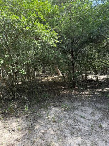 4731 Krischke Road, Schulenburg, TX 78956