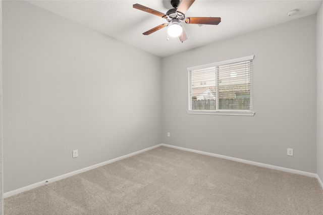 13602 Kodiak Brown Bear Street, Crosby, TX 77532