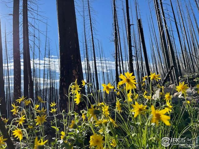 2180 County Road 491, Grand Lake, CO 80447