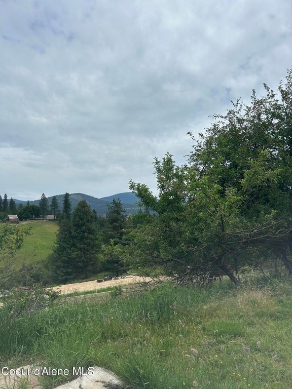 NNA 5th Street, St. Maries, ID 83861 photo 5