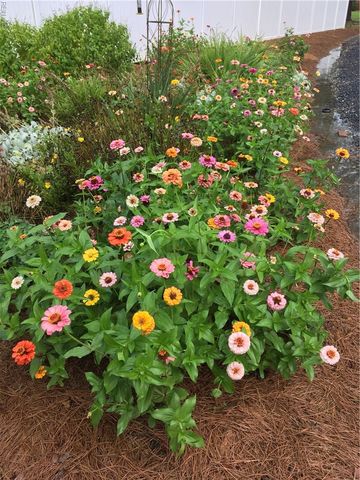 378 Pagan RD, Smithfield, VA 23430