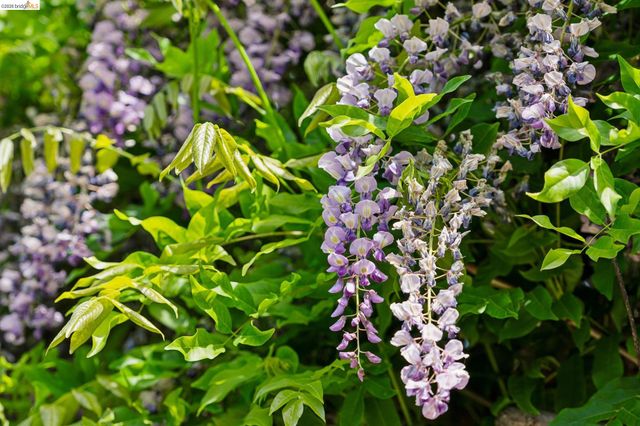 3824 Enos Ave, Oakland, CA 94619