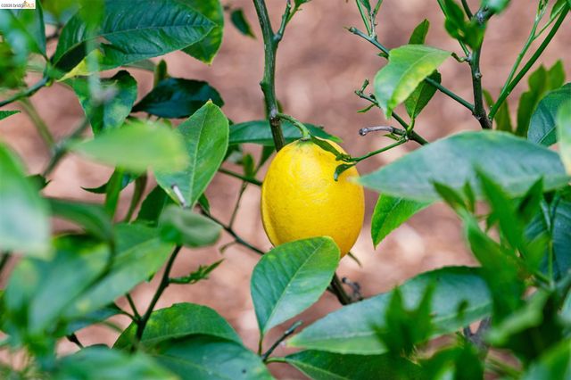 3824 Enos Ave, Oakland, CA 94619