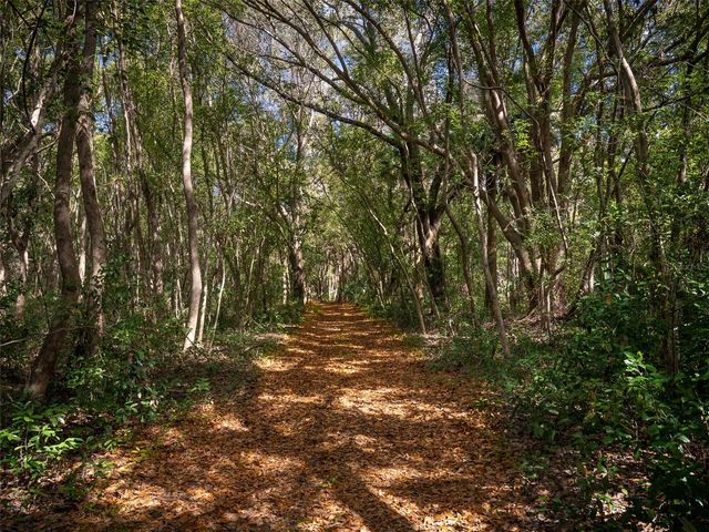 12495 SE SUNSET HARBOR ROAD, Weirsdale, FL 32195