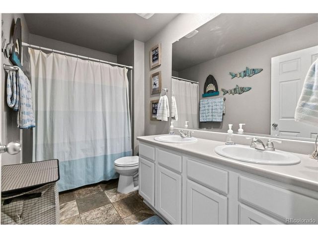 5972 High Timber Cir, Castle Rock, CO 80104