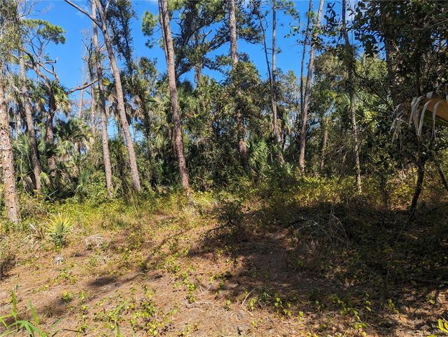 0 APRICOLA ROAD Lot 14, North Port, FL 34286