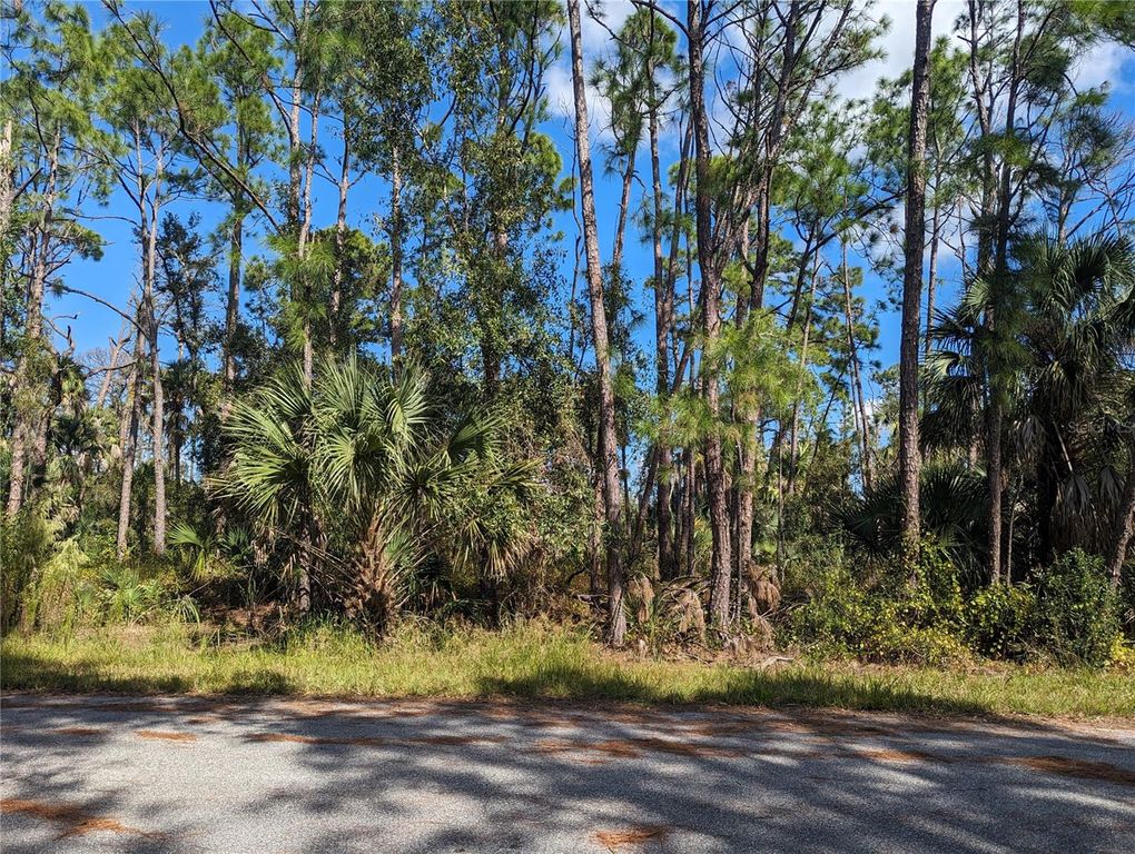 0 APRICOLA ROAD Lot 14, North Port, FL 34286