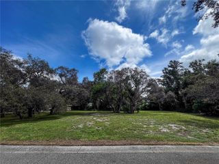 0 TAMPA ROAD, Palm Harbor, FL 34684
