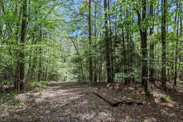 1290 Spring Ridge Road, Coldspring, TX 77331