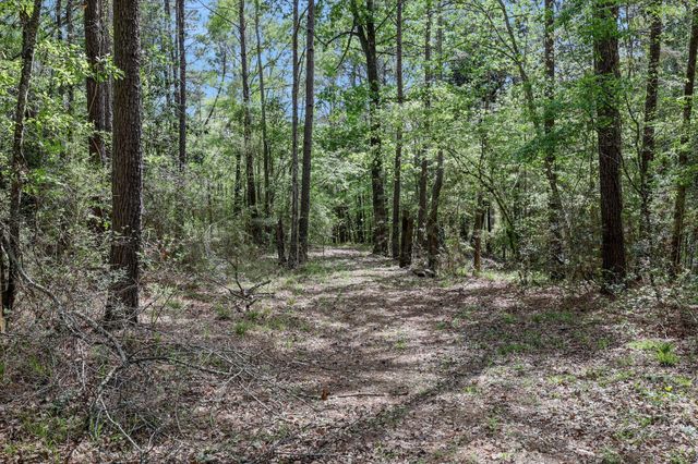 1290 Spring Ridge Road, Coldspring, TX 77331