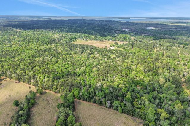 1290 Spring Ridge Road, Coldspring, TX 77331