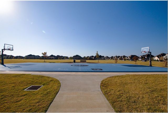 461 Highbridge Lane, Prosper, TX 75078
