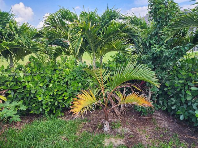 225 SW 31st Place, Cape Coral, FL 33991