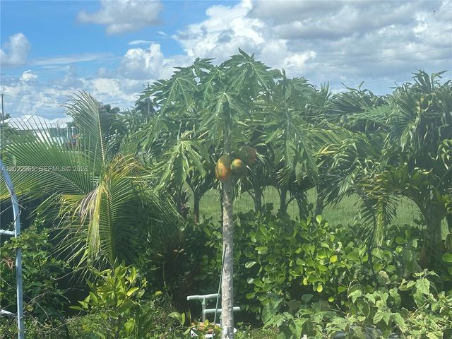 225 SW 31st Place, Cape Coral, FL 33991