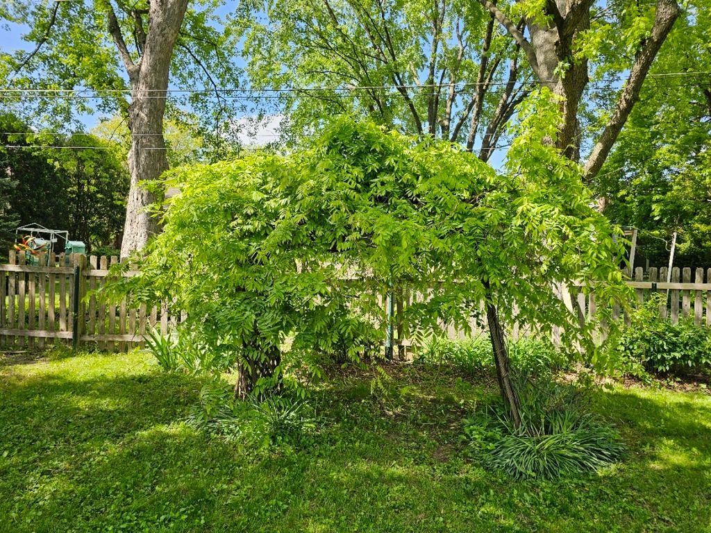 Image 50 of property listing at 813 Considine Road, Geneva, IL 60134