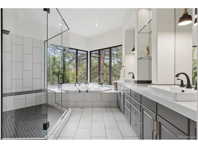 163 Glengarry Pl, Castle Rock, CO 80108