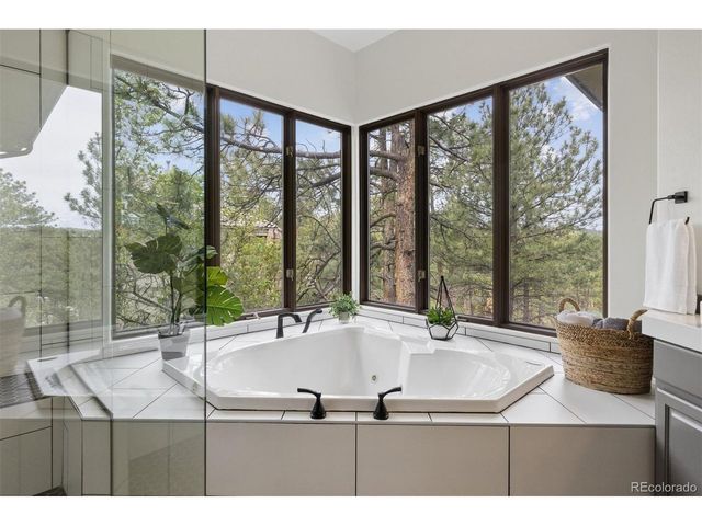 163 Glengarry Pl, Castle Rock, CO 80108