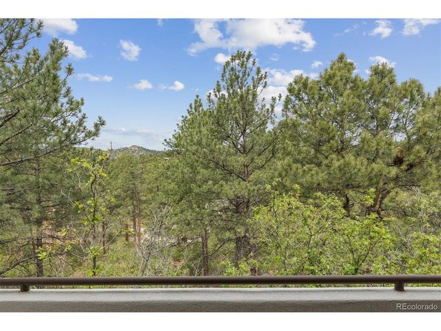 163 Glengarry Pl, Castle Rock, CO 80108