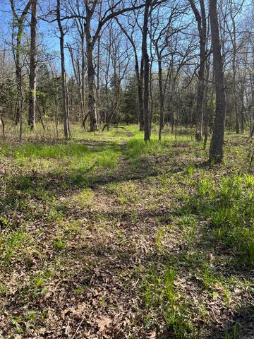 1375 SE 800 Road, Collins, MO 64738