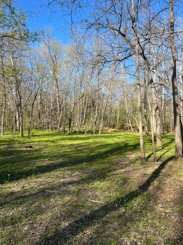 1375 SE 800 Road, Collins, MO 64738