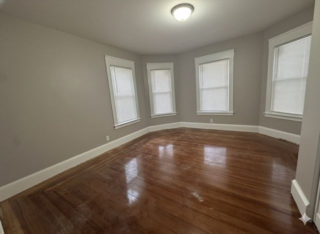 37 Cortland St 1, Springfield, MA 01109