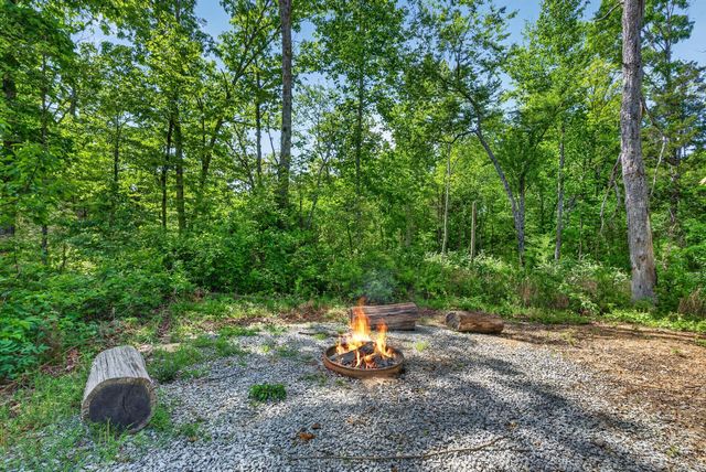 1030 Johnson Hollow Rd, Mc Ewen, TN 37101