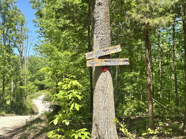 1030 Johnson Hollow Rd, Mc Ewen, TN 37101