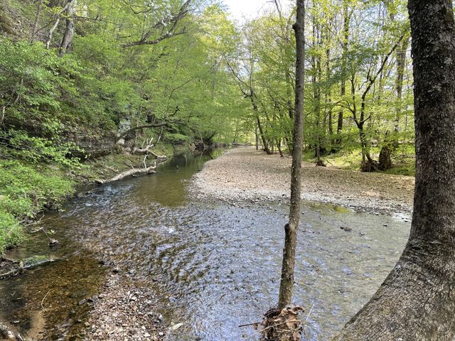 1030 Johnson Hollow Rd, Mc Ewen, TN 37101