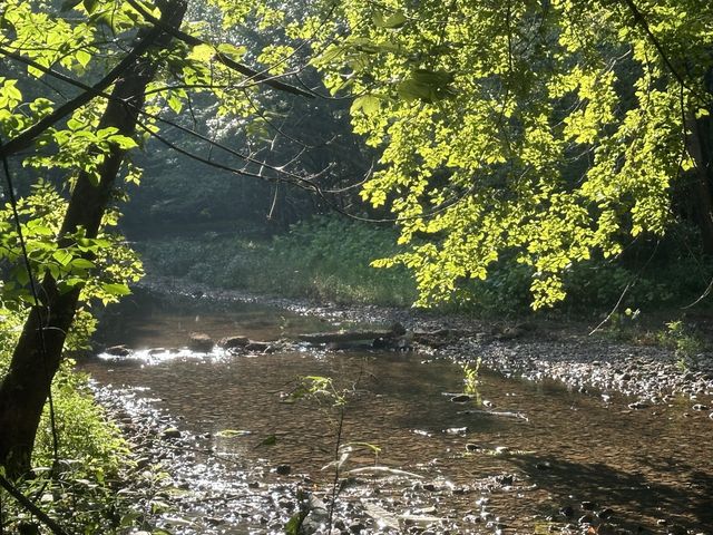 1030 Johnson Hollow Rd, Mc Ewen, TN 37101
