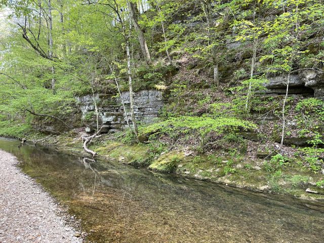 1030 Johnson Hollow Rd, Mc Ewen, TN 37101