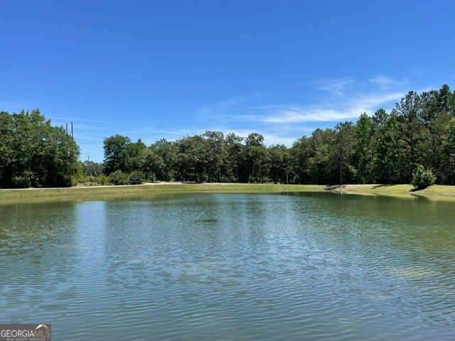 822 Heron's Walk, Statesboro, GA 30458