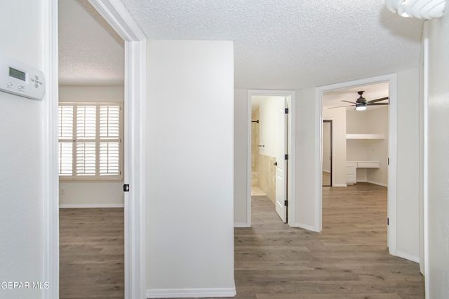 6529 JIM DE GROAT Drive, El Paso, TX 79912