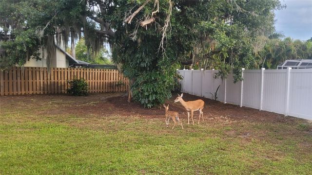 4736 CHARING CROSS ROAD, Sarasota, FL 34241