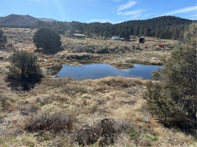 98953 Sacatar Ranch Road, Kennedy Meadows, CA 93527