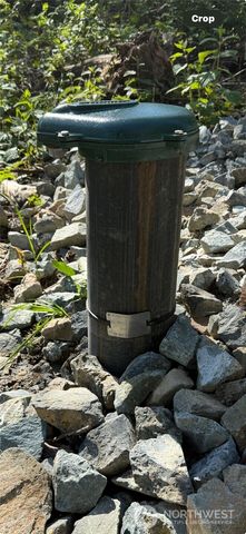 29512 152nd Avenue E, Graham, WA 98338