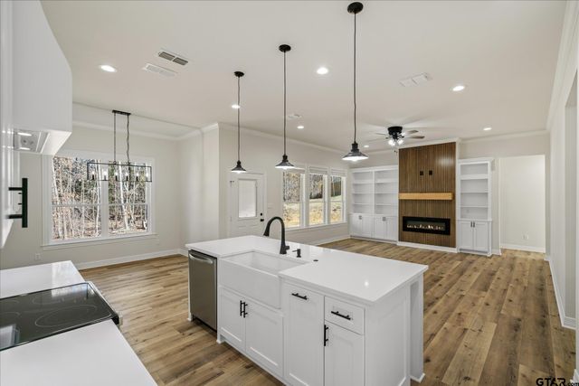 20538 Wild Arrow Ct., Arp, TX 75750