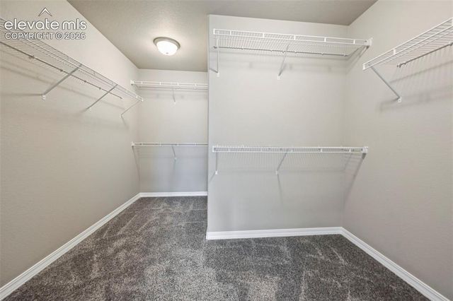6007 Wendy Stream Way, Colorado Springs, CO 80924