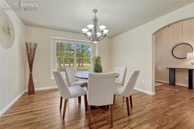 19825 Soaring Wing Drive, Colorado Springs, CO 80908