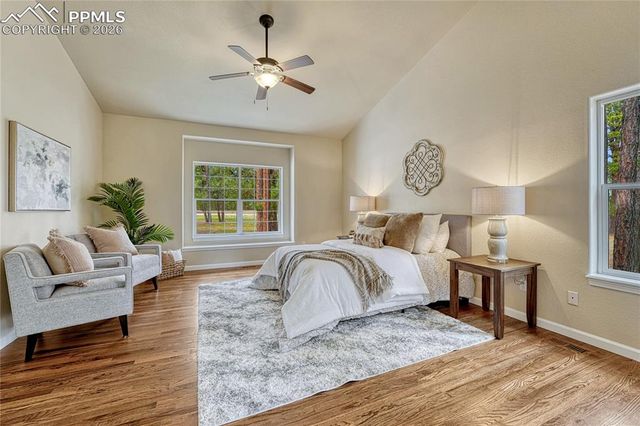 19825 Soaring Wing Drive, Colorado Springs, CO 80908