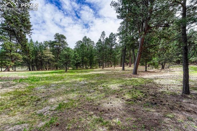 19825 Soaring Wing Drive, Colorado Springs, CO 80908