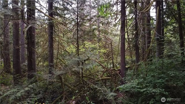 2616 Schirm Road NW, Olympia, WA 98502