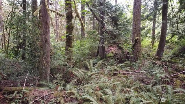 2616 Schirm Road NW, Olympia, WA 98502